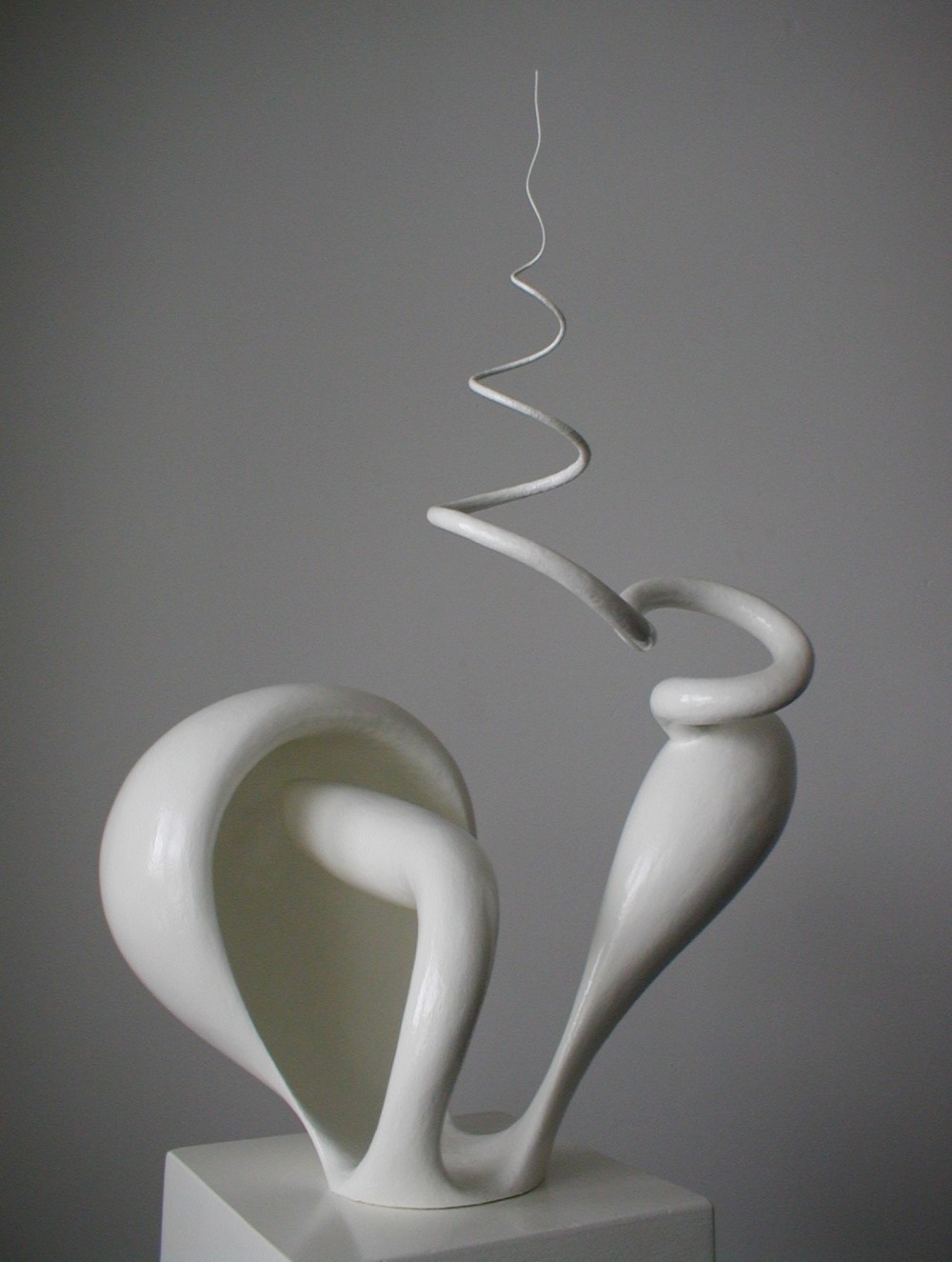 Torus
